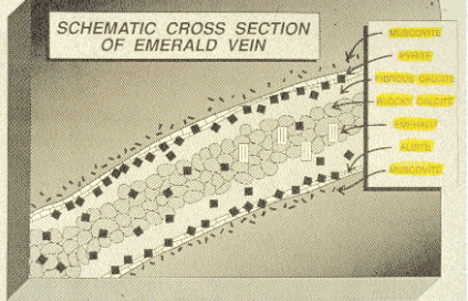The Roots of Origin Determination